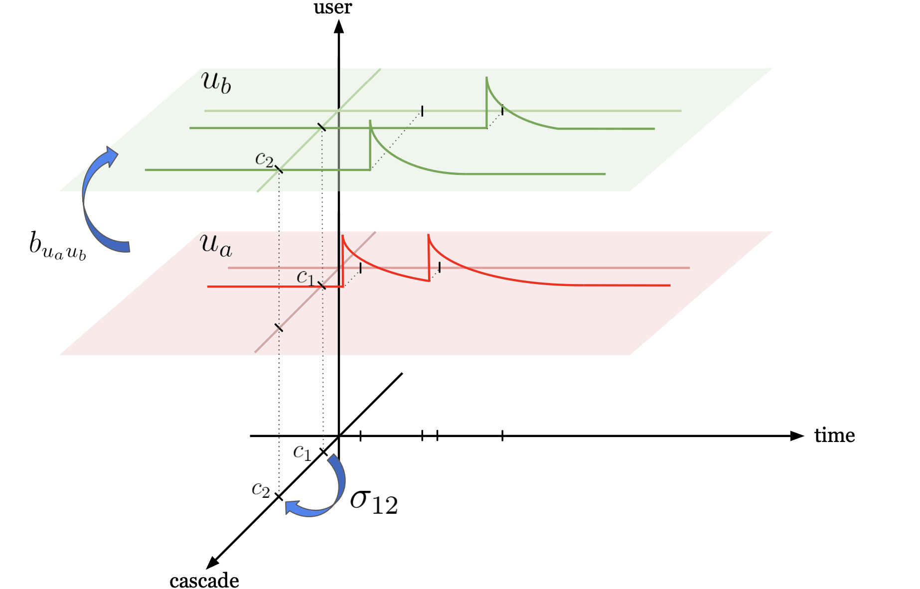 Conceptual view of the model